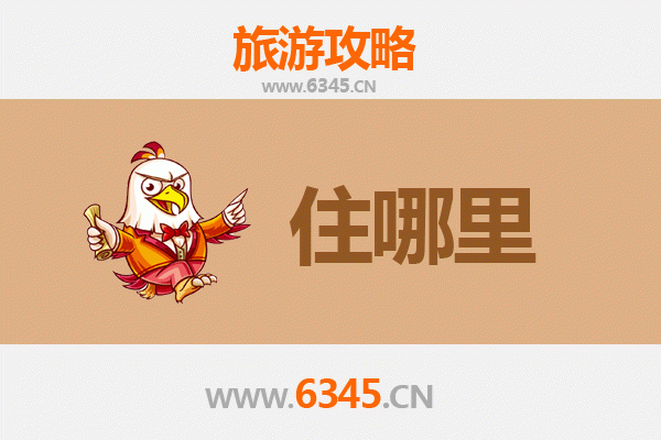 温州苍南民宿全攻略：山海之间的诗意栖居